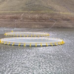 قفس های پرورش ماهی دریایی